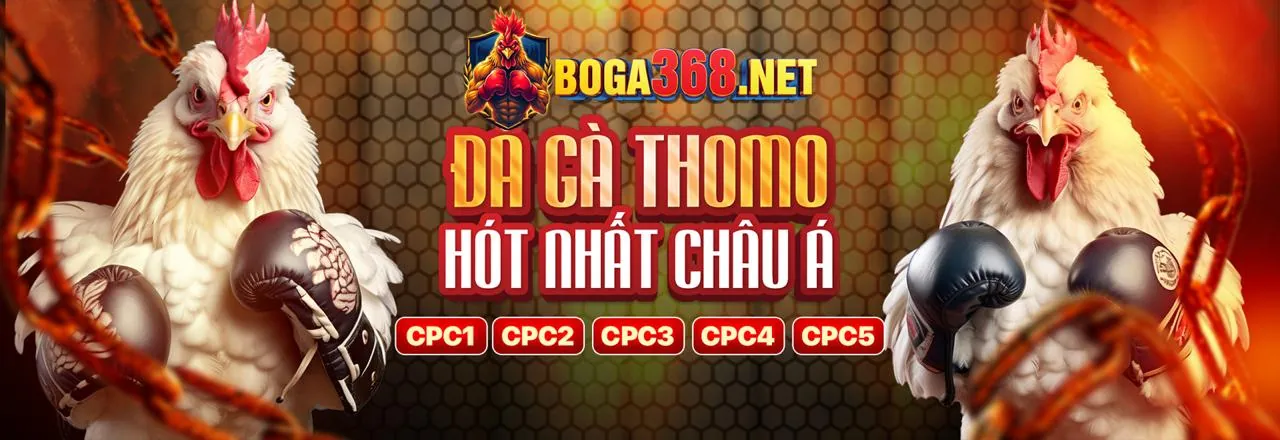 Đá Gà Trực Tuyến gh88